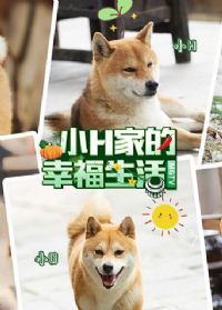 СH�ҵ��Ҹ�����