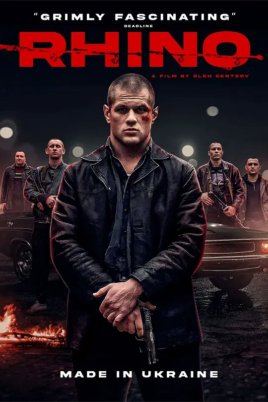 Ϭţ��Ӱ�ӽ�˵��