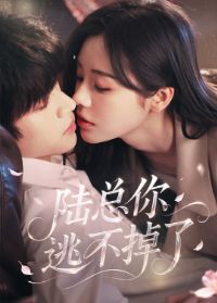 ½�����Ӳ����ˣ���������