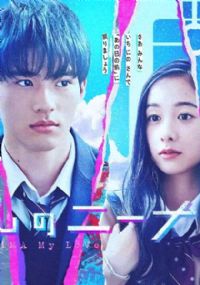 �װ�������