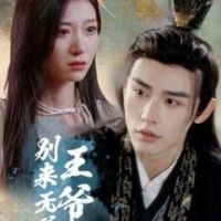 ��ү��������